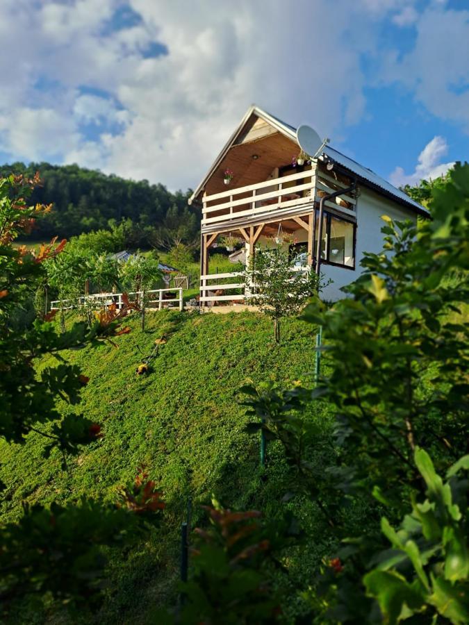 Natural House Visoko Luaran gambar