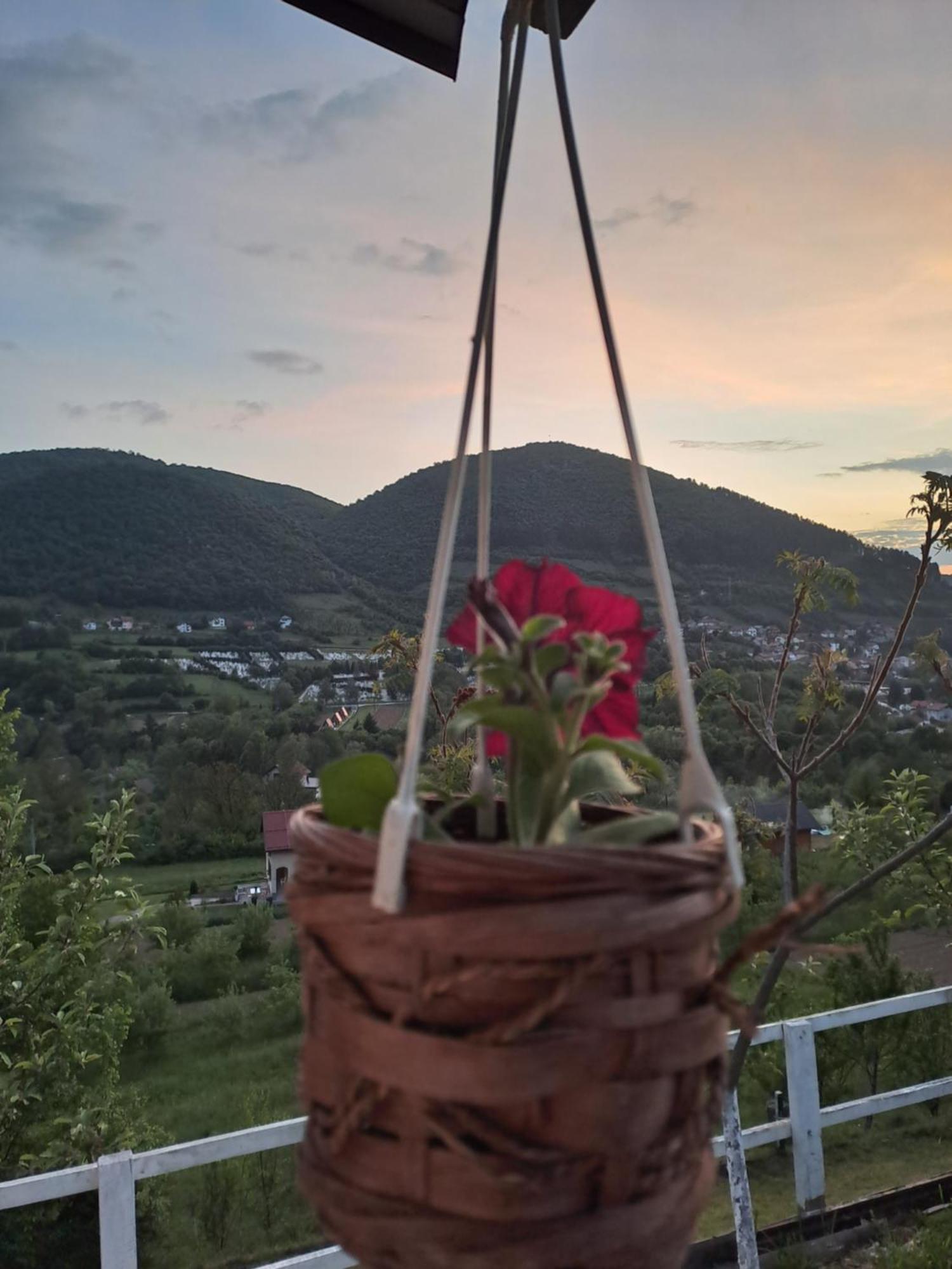 Natural House Visoko Bilik gambar