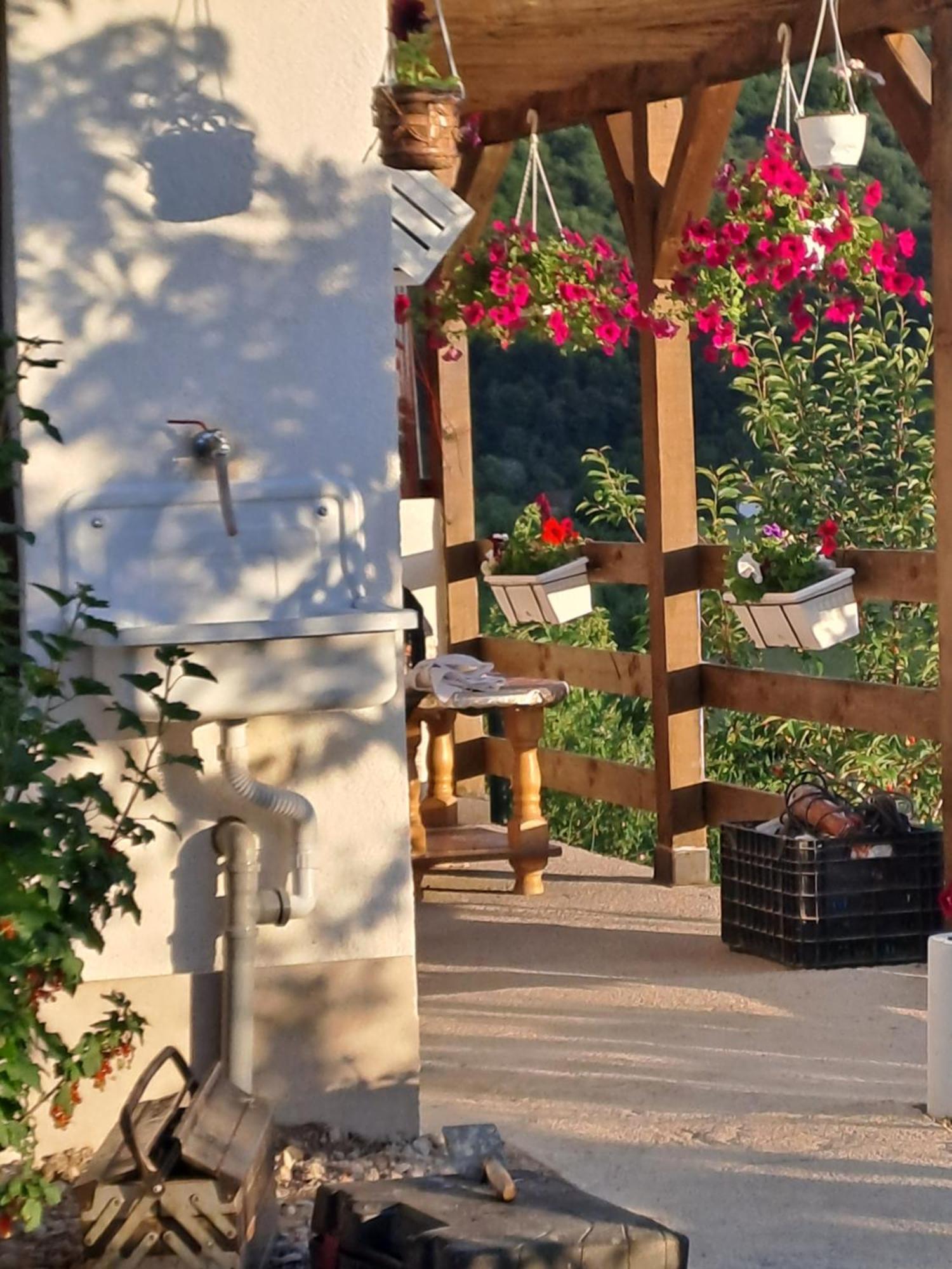 Natural House Visoko Bilik gambar